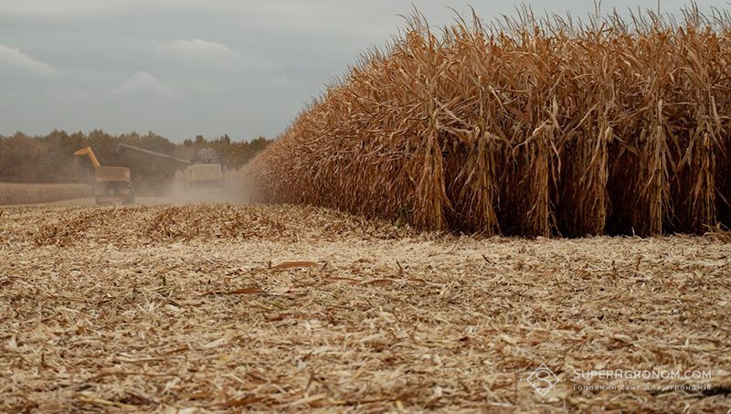 Пожнивні рештки кукурудзи на біогаз — експерт пояснив переваги