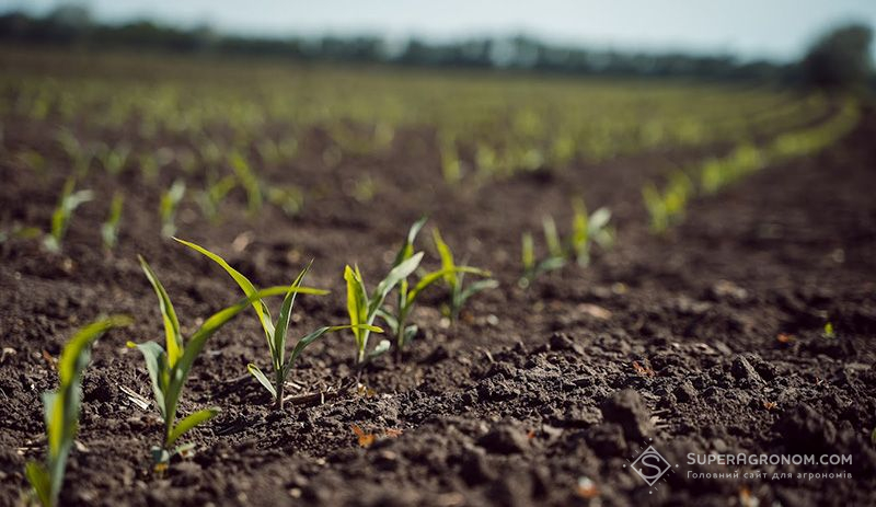 Вміст гумусу завдяки внесенню компосту в господарстві на Черкащині за 16 років виріс на 1,5%