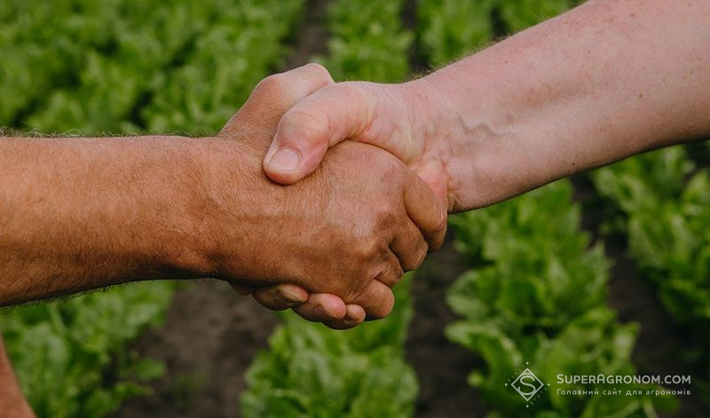 Під урожай-2023 удвічі збільшились площі цукрового буряку в рамках партнерської програми Укрпромінвест-Агро