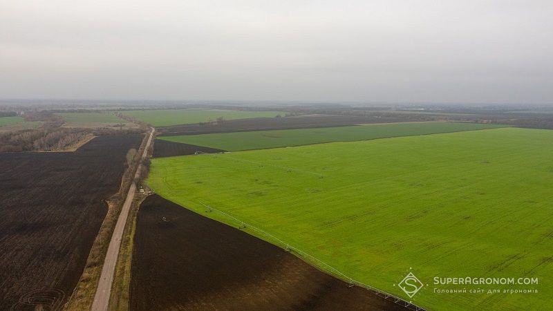 Ціна землі за гектар в Україні досягла 39 тис.грн за 2 роки