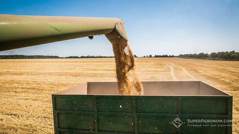 Перший мільйон тонн зерна зібрали аграрії Одещини
