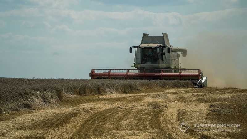Аграрії Чернігівщини зібрали 70% площ пшениці, з середньою врожайністю 4,5 т/га