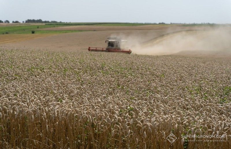 Не зважаючи на обстріли, на Донеччині зернові та зернобобові зібрано на 90% площ