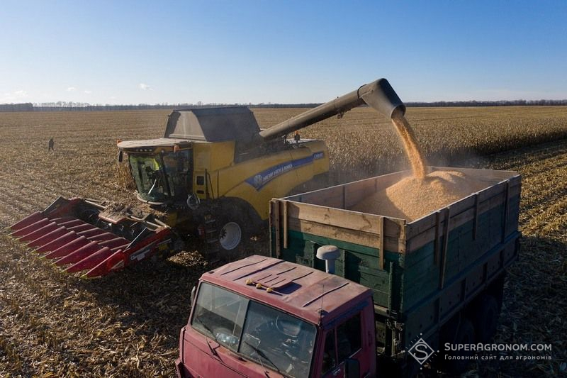 На Черкащині збирають кукурудзу з урожайністю 7,65 т/га