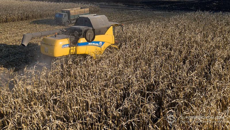 Середня урожайність кукурудзи на Вінниччині 7,68 т/га — на 2,04 т/га більше ніж у 2022 р.