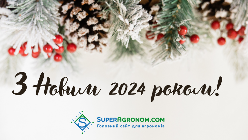 Вітаємо з Новим 2024 роком!