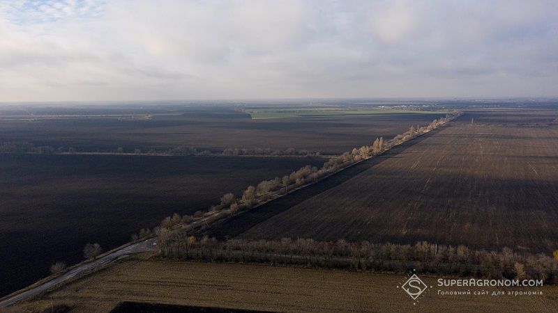 Перший державний земельний банк створено в Україні перед офіційним запуском перших онлайн-аукціонів з оренди державних земель