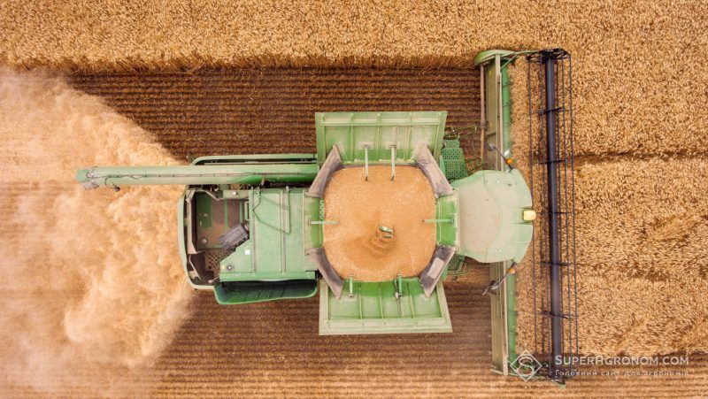 Жнива 2025 в Україні