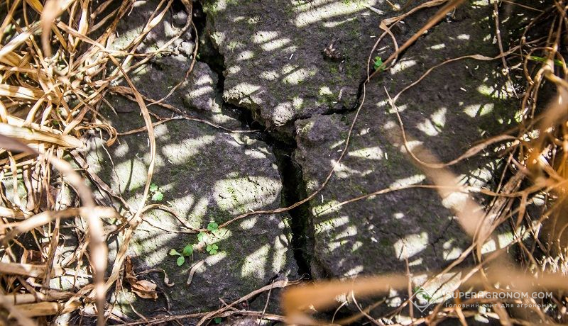 Грунтова посуха Грунтова посуха