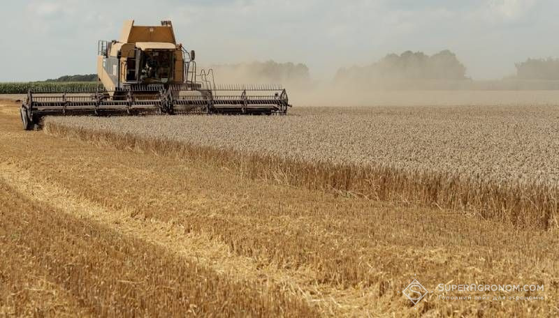 Вінницькі аграрії збирають ранні зернові з урожайністю вищою, ніж торік