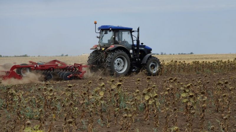 Дискування соняшнику, Миколаївщина, серпень 2025