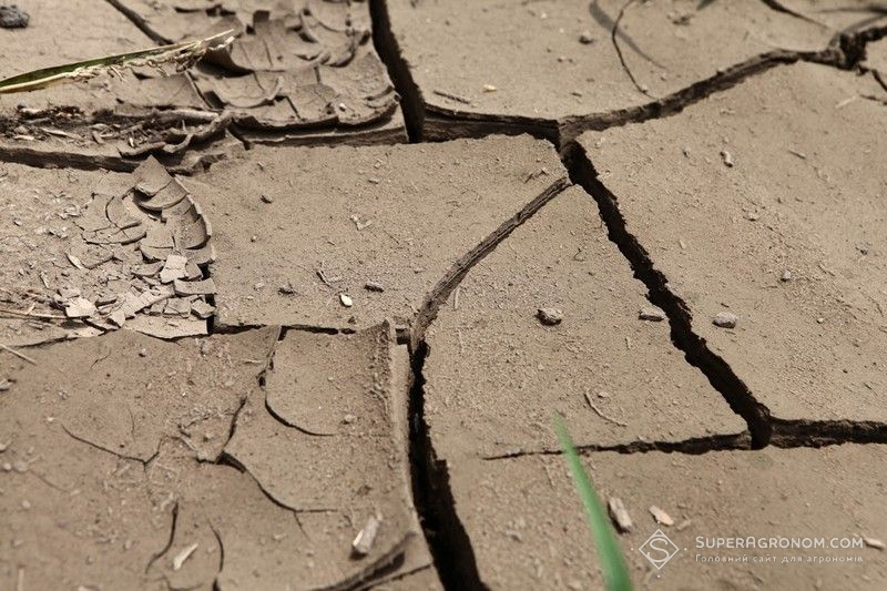 Тріщини в полі Тріщини в полі