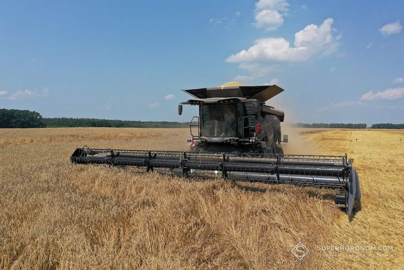 Жнива пшениці