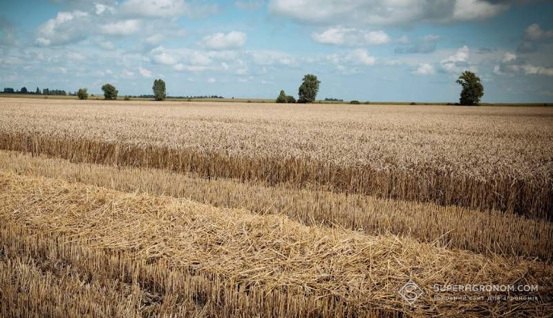 Хмельниччина веде першість за середньою врожайністю ранніх зернових та технічних культур — 6,93 т/га Хмельниччина веде першість за середньою врожайністю ранніх зернових та технічних культур — 6,93 т/га