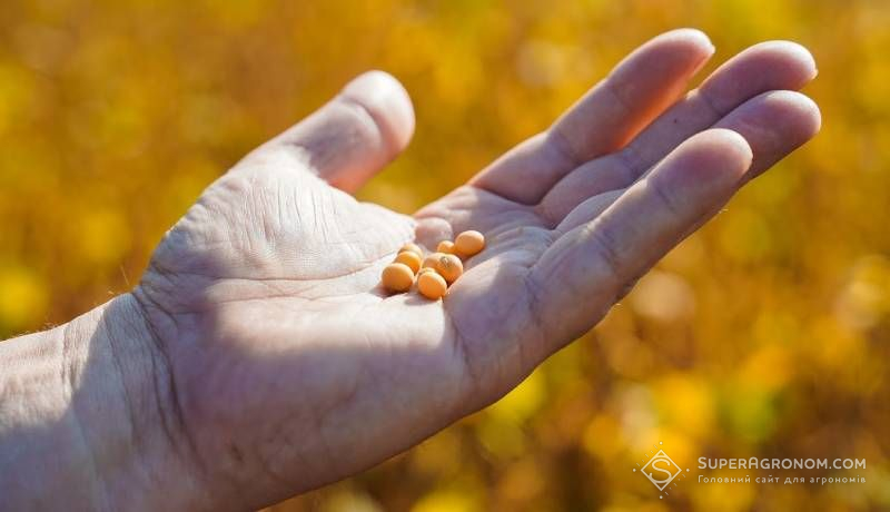 Зниження валового збору прогнозується по більшості основних культур порівняно з минулим роком — УКАБ