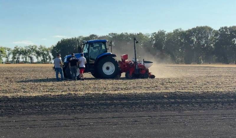 Сівба озимого ріпаку Сівба озимого ріпаку
