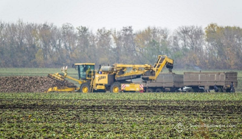 Збирання буряків Збирання буряків