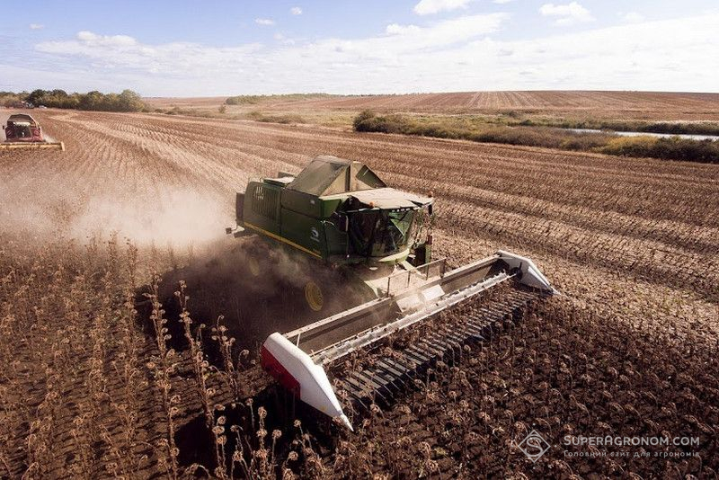 Збирання соняшника Збирання соняшника