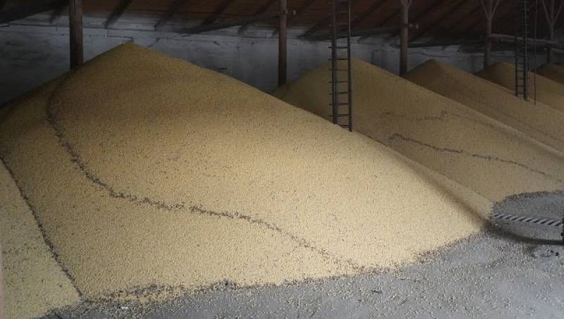 Кабмін визначив порядок отримання пільги 10% на експортне мито для сої та ріпаку