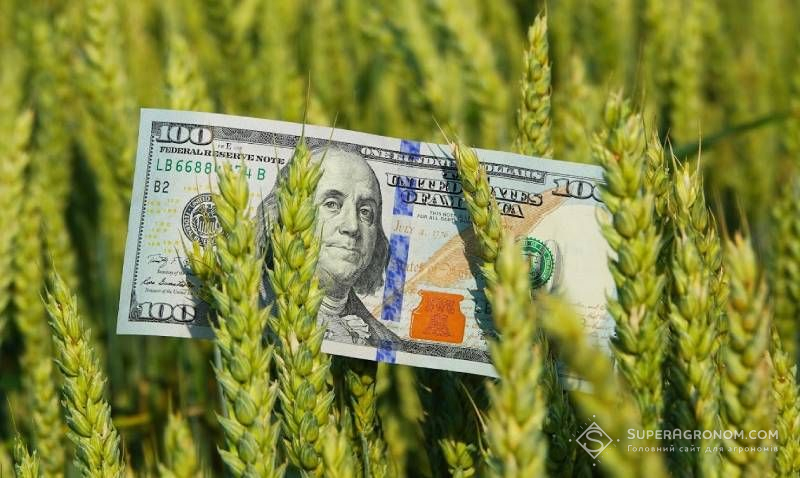 Загальний EBITDA українського агросектору в сезоні 2024 зріс в 3,5 рази — дослідження Agrohub