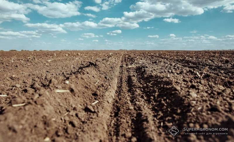 Понад 4 млн га земель в Україні обробляються поза межами правового поля — Башлик