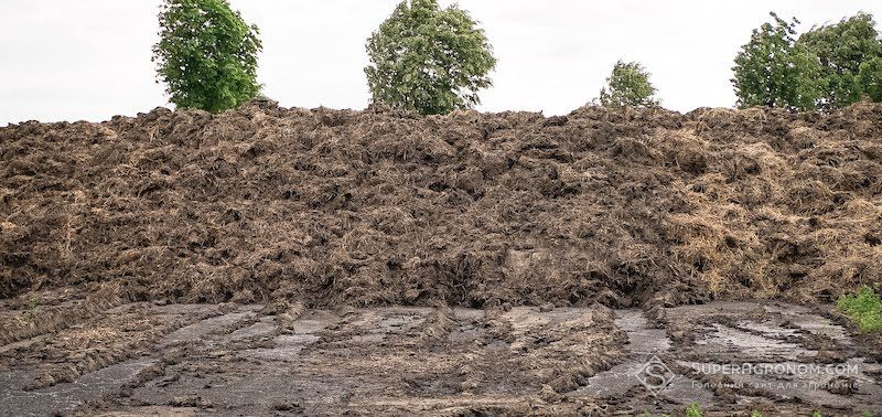 З 2026 року в Нідерландах буде встановлено ліміт 170 кілограмів азоту на гектар при внесенні гною З 2026 року в Нідерландах буде встановлено ліміт 170 кілограмів азоту на гектар при внесенні гною