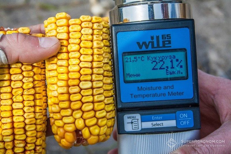 Скоротити втрати при вирощуванні кукурудзи та підвищити рентабельність допоможе власна сушарка