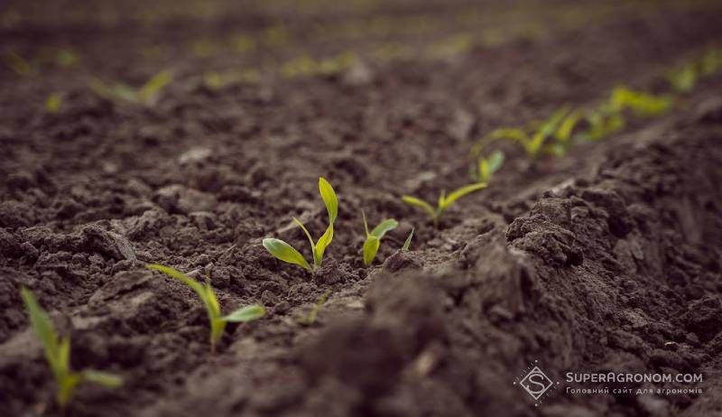 Каталог продуктів DEFENDA на 2026 рік поповнився двома новими засобами захисту рослин Каталог продуктів DEFENDA на 2026 рік поповнився двома новими засобами захисту рослин