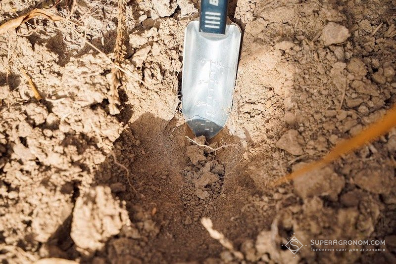 Ґрунт Ґрунт