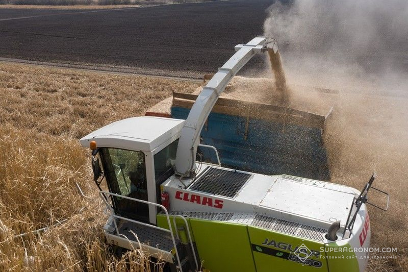 Збирання міскантуса