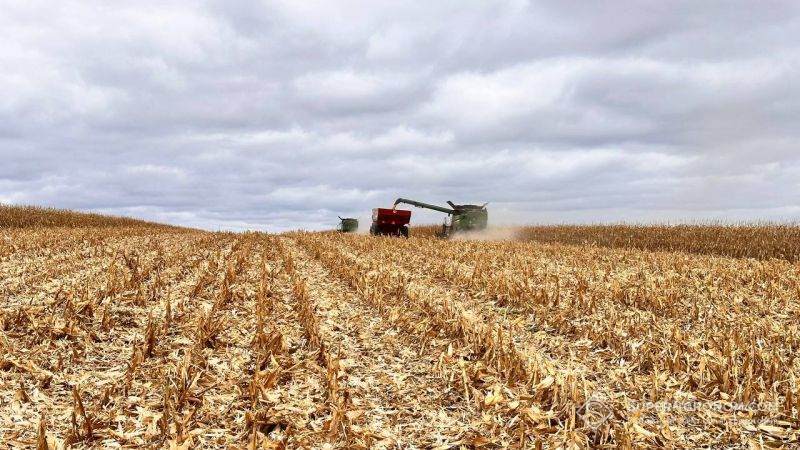 На Запоріжжі зібрали врожай лише з 20% довоєнних площ — решта в окупації