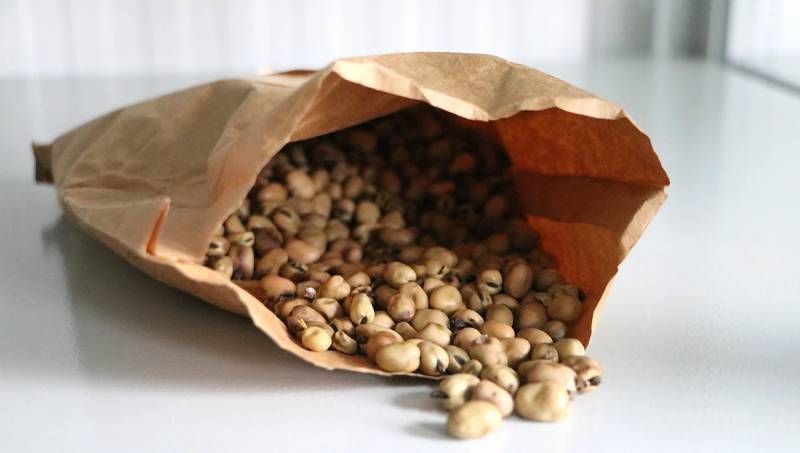 Після пошкодження росіянами генетичного банку рослин у Харкові наразі створено дублетний генбанк Після пошкодження росіянами генетичного банку рослин у Харкові наразі створено дублетний генбанк