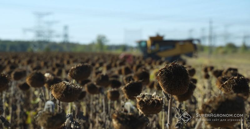 У TG Agro розповіли чому відмовилися від монокультури