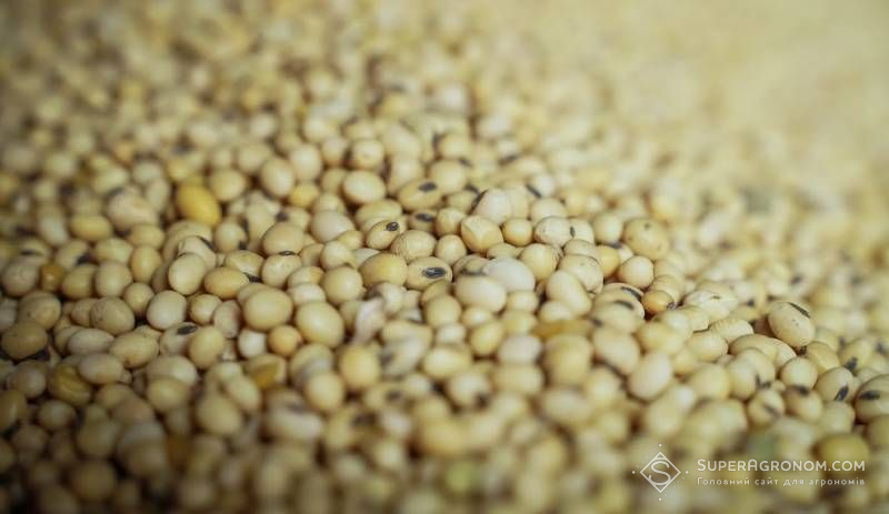 Урожай сої