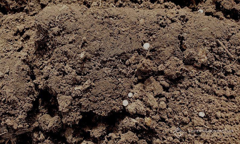 Російське вторгнення спричинило скорочення застосування мінеральних добрив аграріями майже вдвічі Російське вторгнення спричинило скорочення застосування мінеральних добрив аграріями майже вдвічі