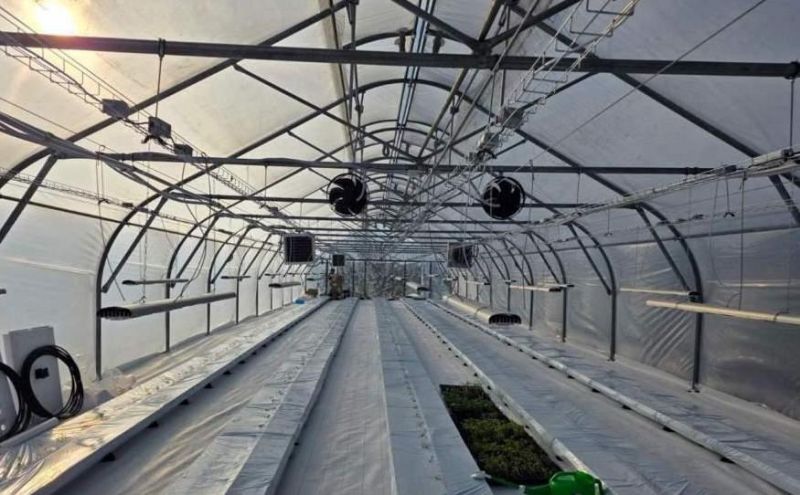 В Україні розпочали випробувати японську технологію Imec® — вирощування овочів на полімерній мембрані замість ґрунту В Україні розпочали випробувати японську технологію Imec® — вирощування овочів на полімерній мембрані замість ґрунту