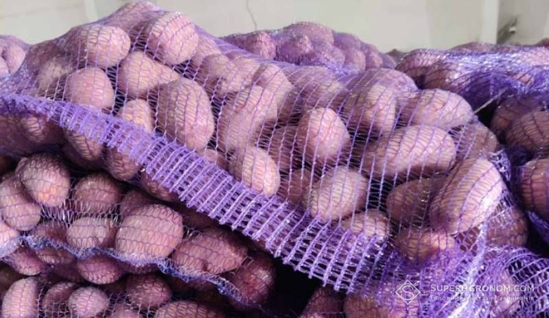 Ціна на картоплю знизилась