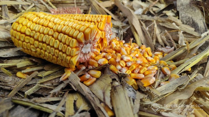 Україні потрібно 3 млн тонн кукурудзи на рік для виробництва біоетанолу