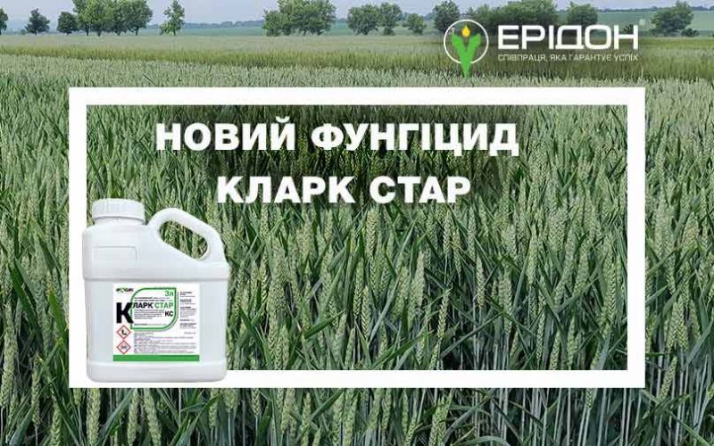 Продуктовий портфель Ерідон поповнив інноваційний фунгіцид Кларк Стар із подвійним вмістом азоксистробіну