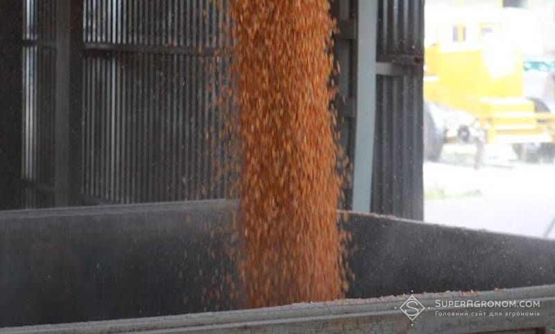 Наразі немає такого попиту на зерно, який міг би вплинути на зростання цін — експерт