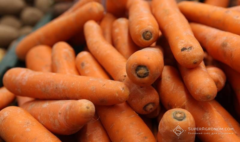 Валове виробництво овочів в сезоні 2025 зросте на понад 5% — аналітики Валове виробництво овочів в сезоні 2025 зросте на понад 5% — аналітики