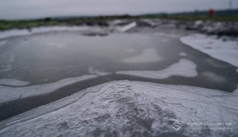 Експерт назвав можливі негативні фактори для озимих, спричинені сніговим покривом