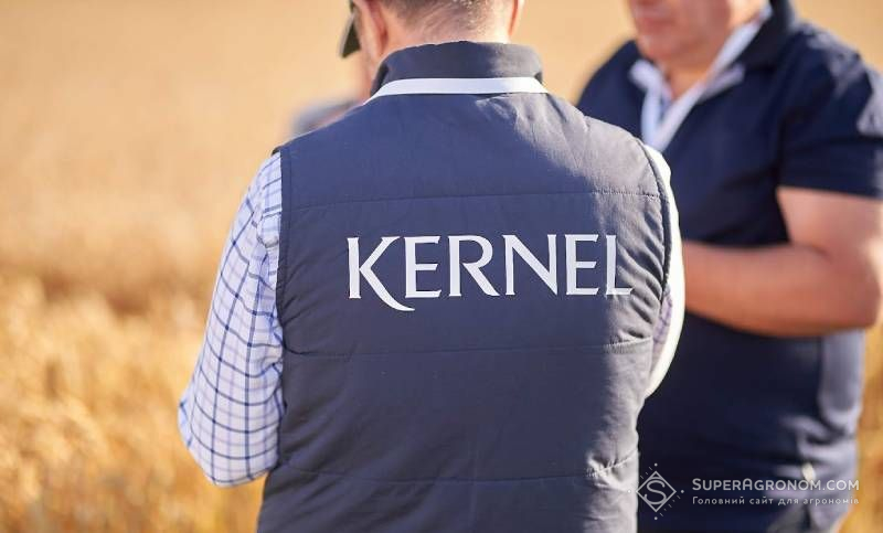 Інсайд: Кернел купує групу компаній Агро-Регіон