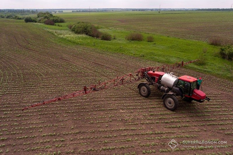 Обприскування соняшника