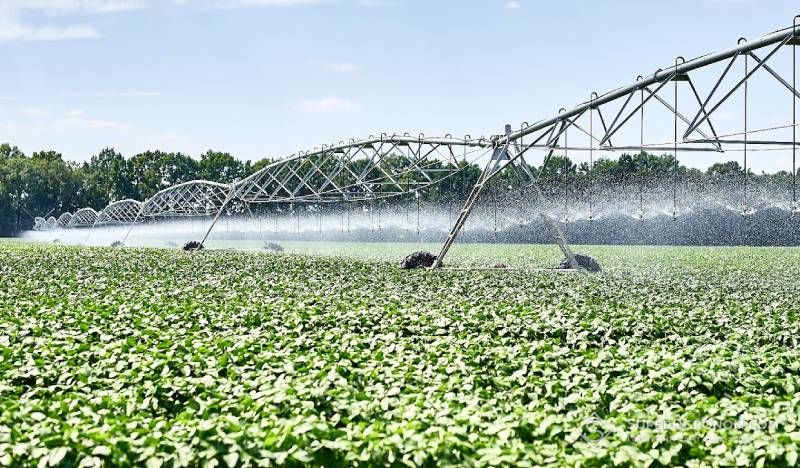 З 2022 року площа политих земель в Україні через війну скоротилась на 75% З 2022 року площа политих земель в Україні через війну скоротилась на 75%