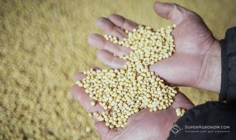 У 2025/26 МР виробники сої втратили інтерес за рахунок низької ціни в попередньому сезоні — думка