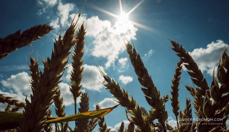 2025 рік був третім найтеплішим у світі за останні 175 років