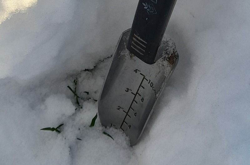 Сніговий покрив