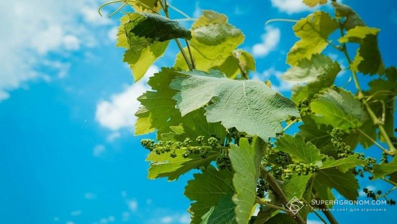 Світу загрожує глобальне водне банкрутство — ООН