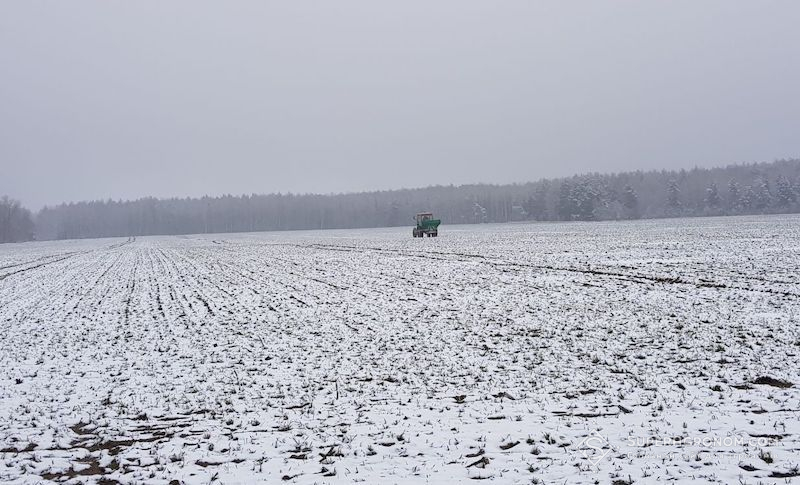 Умови, коли недоцільно підживлювати озиму пшеницю, назвав Микола Сучек Умови, коли недоцільно підживлювати озиму пшеницю, назвав Микола Сучек